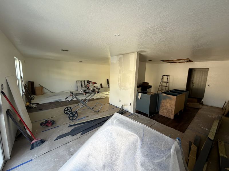 Kitchen gutted during demolition